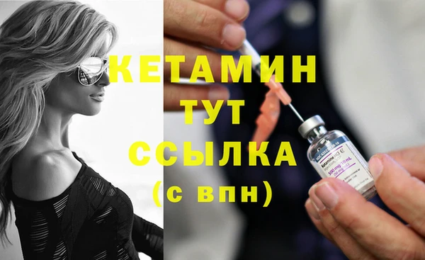прущие грибы Вязники