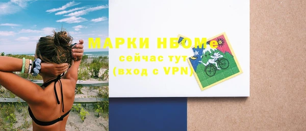 прущие грибы Вязники