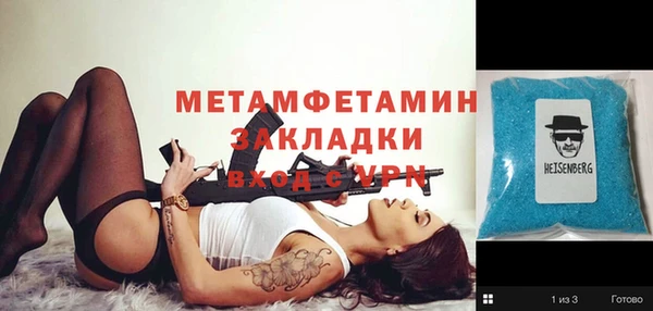 прущие грибы Вязники