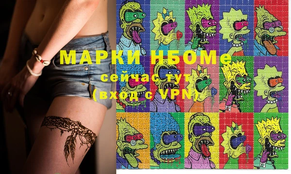 прущие грибы Вязники