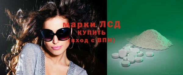 прущие грибы Вязники