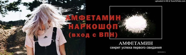 сатива Вяземский