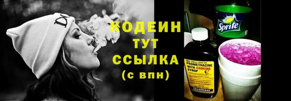 прущие грибы Вязники