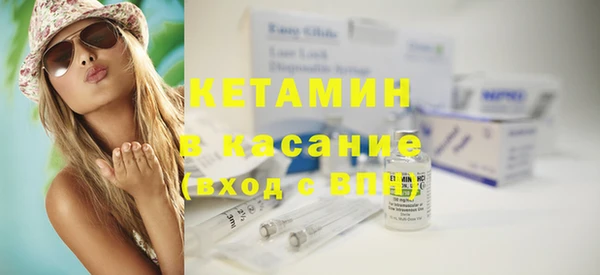 прущие грибы Вязники