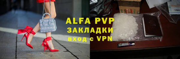 сатива Вяземский