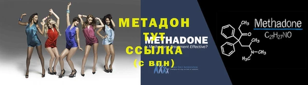 прущие грибы Вязники