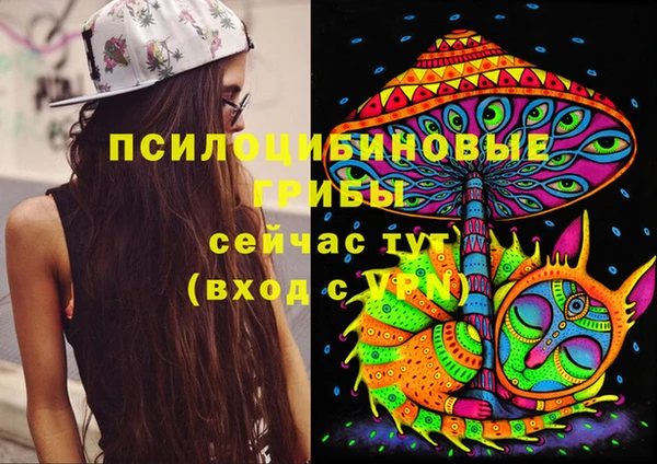 мдпв Горняк
