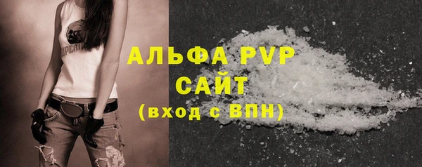 прущие грибы Вязники