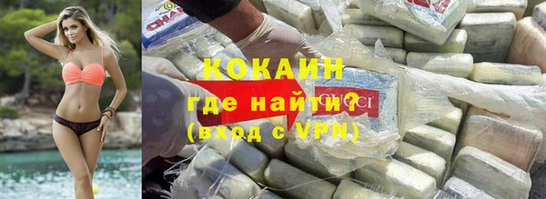 сатива Вяземский