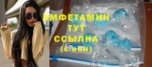сатива Вяземский