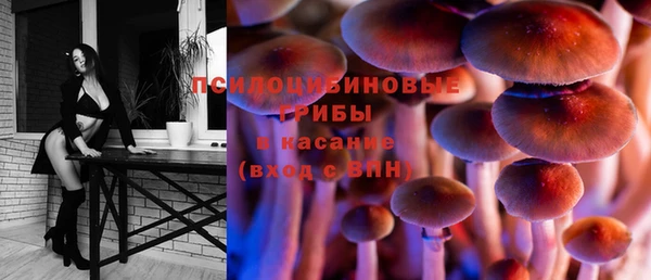 apvp Вязьма