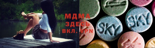 прущие грибы Вязники