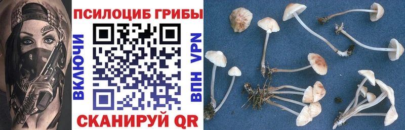 Псилоцибиновые грибы мухоморы  Купить закладки  Красноуральск 